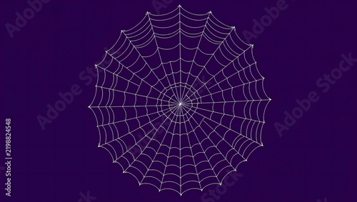 White spider web illustration on a dark blue background