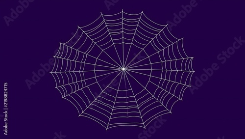 A circular spider web pattern isolated on a dark blue background