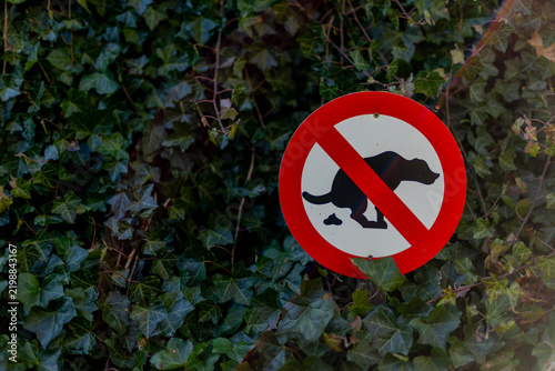 Bild auf Leinwand Red circle forbids dog waste