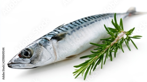 A whole mackerel fish placed on a white background next to a sprig of rosemary
