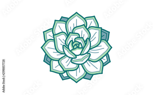 Naklejka Stylized Succulent Plant Vector Illustration