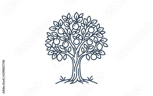 Naklejka Fruit Tree Outline Vector Illustration