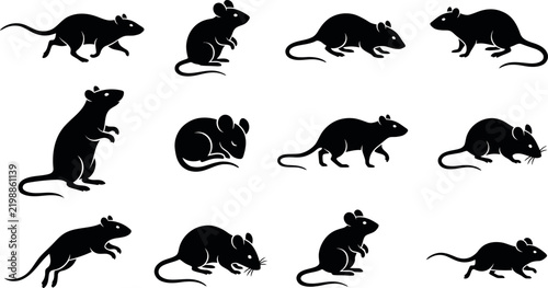 Collection of black silhouettes depicting various poses of small common house mice on a white background