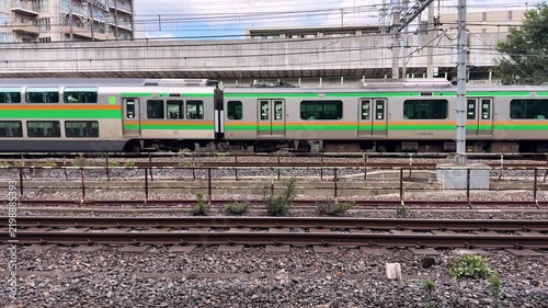 Passing Shonan-Shinjuku Line Commuter Train in Tokyo