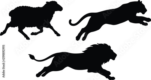 Black silhouettes of a running sheep a jumping tiger and a lion moving fast in a collection of wild and farm animal graphic shapes for creative design projects