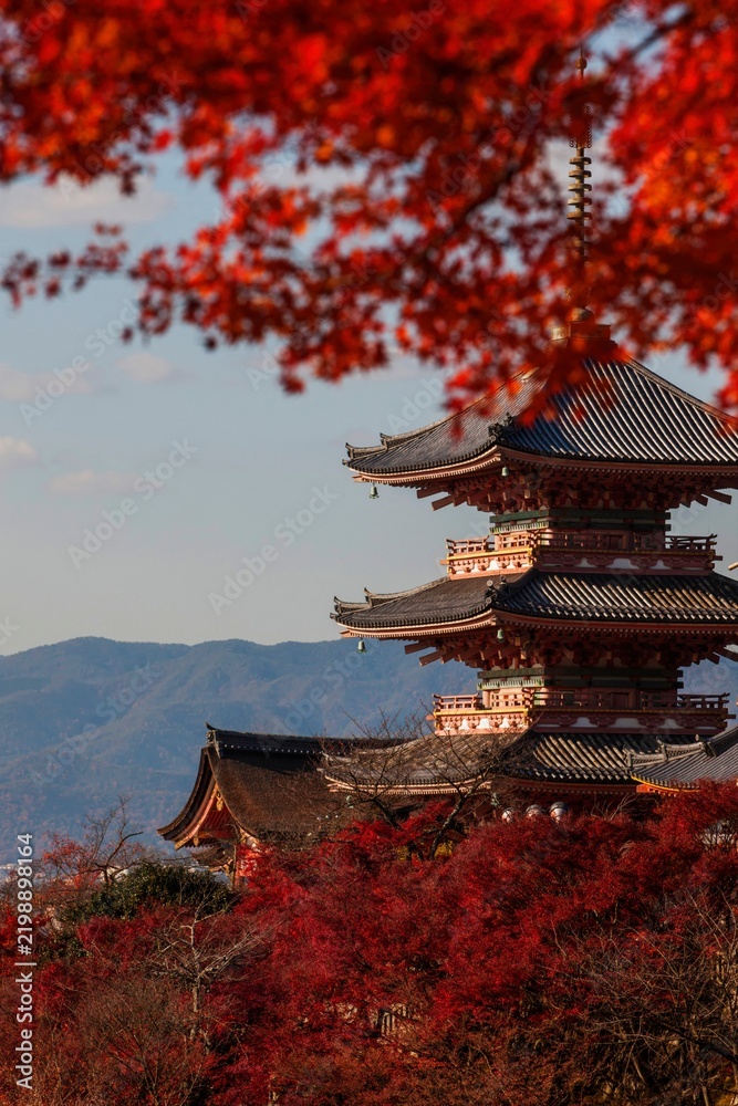 Obraz premium 紅葉に包まれた京都・清水寺