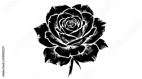 Black Ink Rose Illustration with Elegant Floral Brush Style