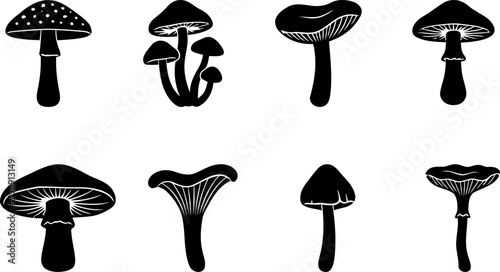 Variety of black ink style mushroom illustrations arranged in a grid pattern