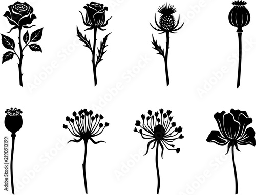 Collection of botanical illustrations depicting various wildflower and thistle silhouettes
