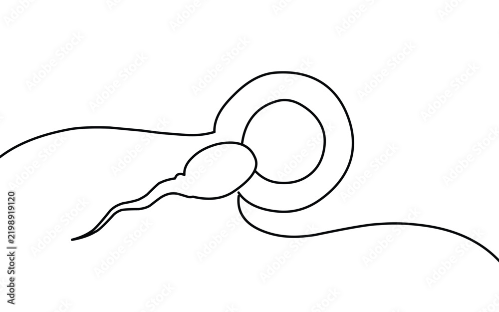 Obraz premium Human sperm icon Continuous single line drawn on a white background Minimalist reproductive cell vector illustration