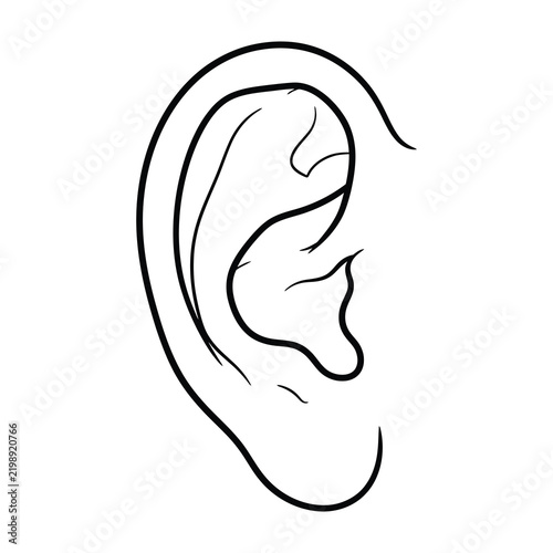 Human ear outline sketch showing anatomy details for medical and biology education
