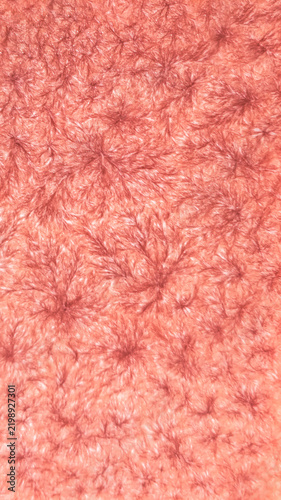 Фотография Vibrant coral red and pink dendritic crystal texture, abstract organic macro bac