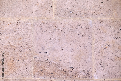 Fotografía Fossilized limestone material forming a natural background or texture, revealing