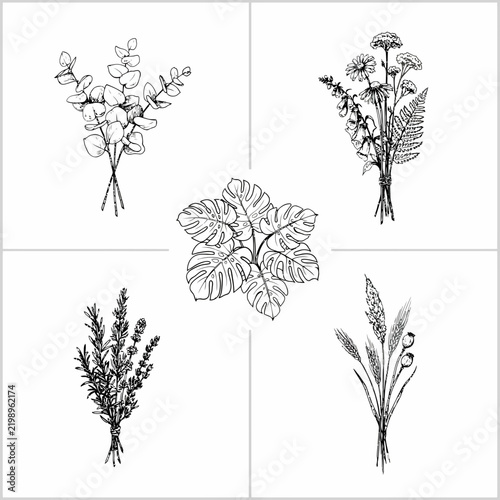set of vector trees