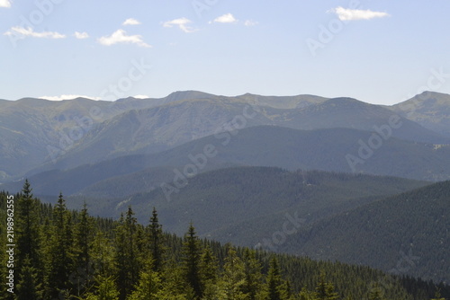Layered mountain ranges and dense pine forest under a blue sky