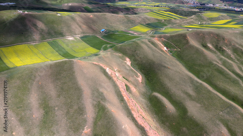 Aerial View of Rapeseed Fields and Rolling Hills in Qilian Qinghai China