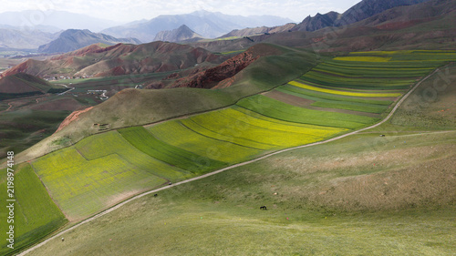 Colorful Farmland and Rolling Hills Near Zhuoer Mountain, Qilian, Qinghai, China