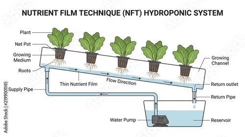 Diagram Illustrating the Nutrient Film Technique for Hydroponic Plant Cultivation and Sustainable Agriculture Systems
