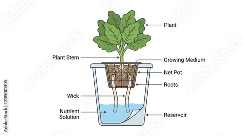 Wick hydroponic system diagram illustration showing plant growth setup with reservoir and nutrient solution