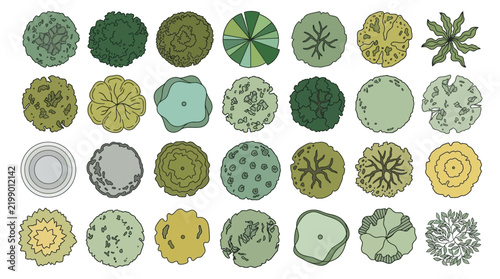 top view tree icons set for architectural site plan landscape design and urban planning blueprint layouts