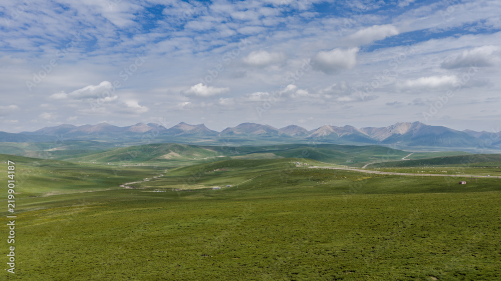 Fototapeta premium Summer Landscape of Qilian Mountains and Green Grassland in Gansu, China