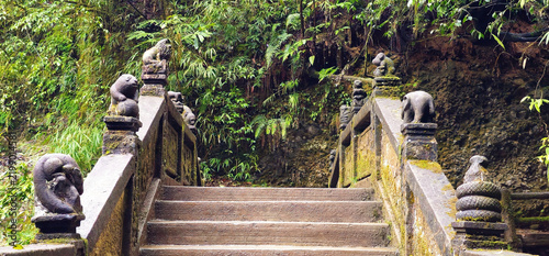 Foto Ancient Moss-Covered Stone Steps with Animal Statues in a Lush Rainforest