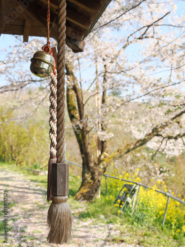 日本の神社のガラガラ