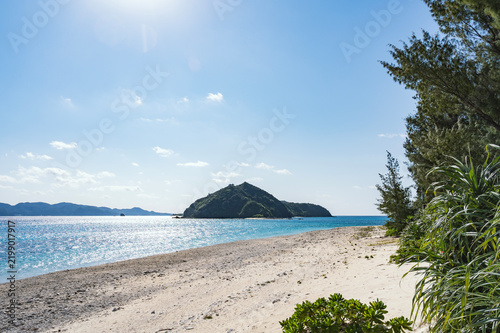 Tapety artystyczne 慶良間諸島 古座間味ビーチ（座間味島）