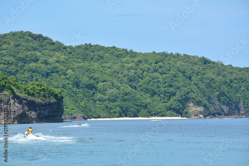 Beach cove covered with trees and mountains