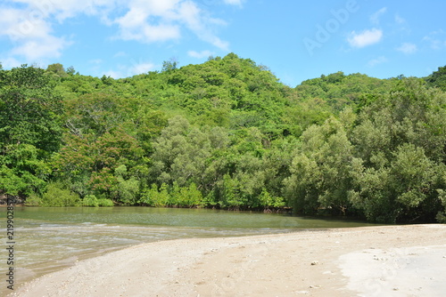 Beach cove covered with trees and mountains