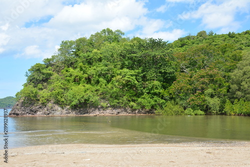 Beach cove covered with trees and mountains