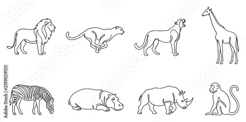 Photography Line art illustrations of various wild African animals including lions a cheetah giraffe zebra hippopotamus rhinoceros and a monkey