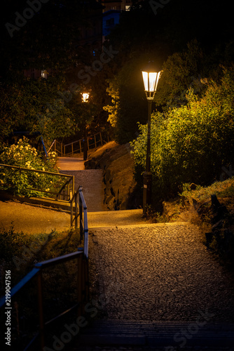 Obraz na płótnie Alley On Vysehrad Hill At Night In Prague
