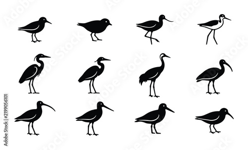 фотографія Elegant Silhouette Bird Collection, Diverse Avian Species Vector Set, Minimalist