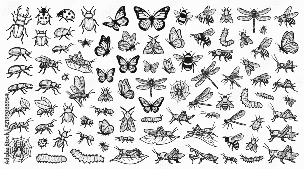 Obraz premium Hand Drawn Bug Doodle Vector Bundle of Cute Ground and Flying Insects