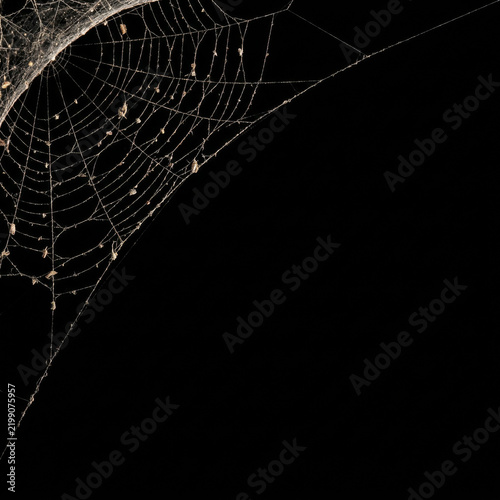 Spider web corner on black, dusty cobweb corner with realistic gossamer threads, halloween corner overlay for screen blend with copy space for a spooky poster and party invitation