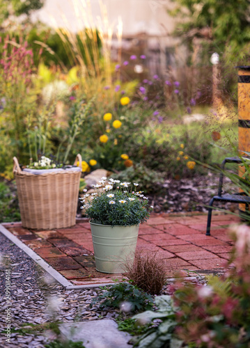 Charming backyard garden patio with white daisy flowers in a zinc pot and a wicker basket on brick pavement