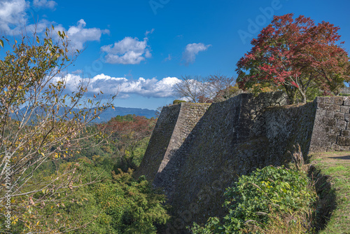 Tapety artystyczne 大分 岡城 三の丸石垣の風景