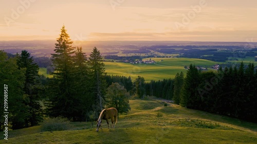 Scenic sunset view from Auerberg in Upper Bavaria, Germany, featuring a grazing horse, alpine foothills, forests, rolling farmland and a picturesque rural calm landscape