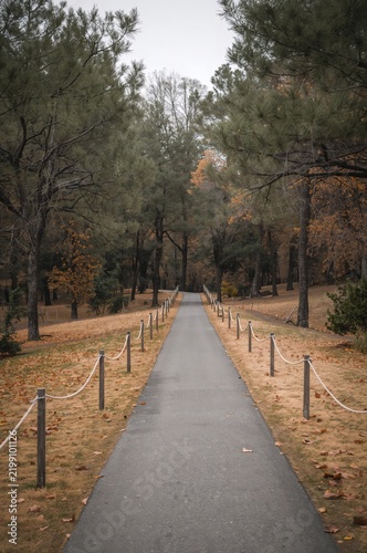 Path Through a Park in Autumn Surrounded by Trees and Foliage