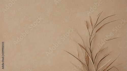 Dried Plant on a Beige Background With a Smooth Texture and Natural Light