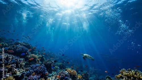 Sea Turtle Swimming Near Coral Reef Under Sunlight Underwater