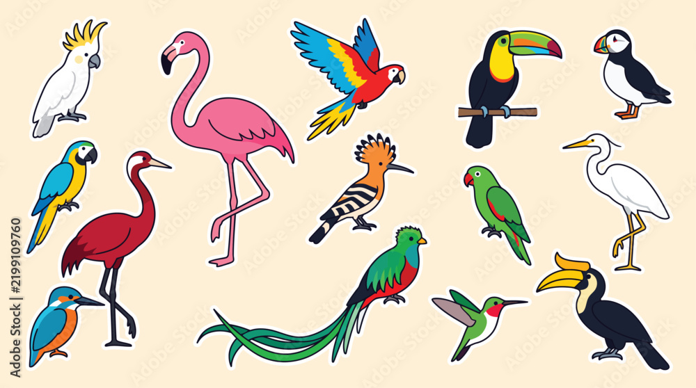 Obraz premium Tropical bird vector collection, exotic avian species set with flamingo and parrot, colorful wildlife illustrations for educational design