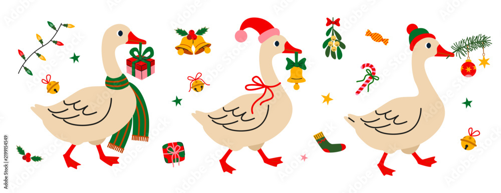 Obraz premium Festive Geese with Christmas Elements on White Background for Holiday Designs