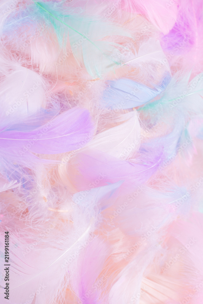 Fototapeta premium Colorful feather background, top view.