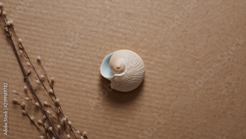 Seashell Resting on Brown Cardboard Surface With Dried Flowers Nearby