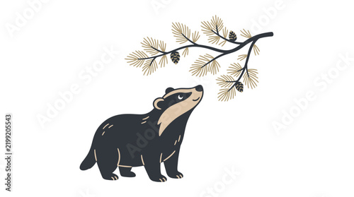 Cute Hand-Drawn Badger Looking at a Pine Tree Branch with Pine Cones - Minimalist Forest Animal Vector Illustration