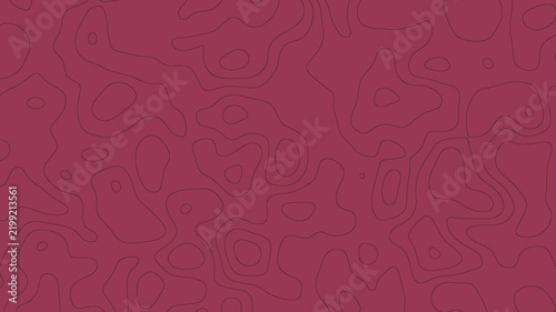  Topographic Map 4K Wallpaper Animation for Modern and Geometric Visuals