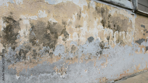 Close-up view of an old weathered concrete wall featuring peeling paint, dark mold stains, cracks, and distressed surface textures.