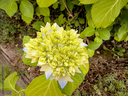 Wunderschöne Farben und Formen